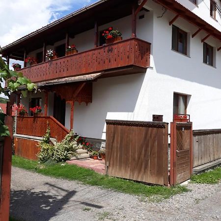 Molnár Vendeghaz Bed and Breakfast Praid Exterior foto
