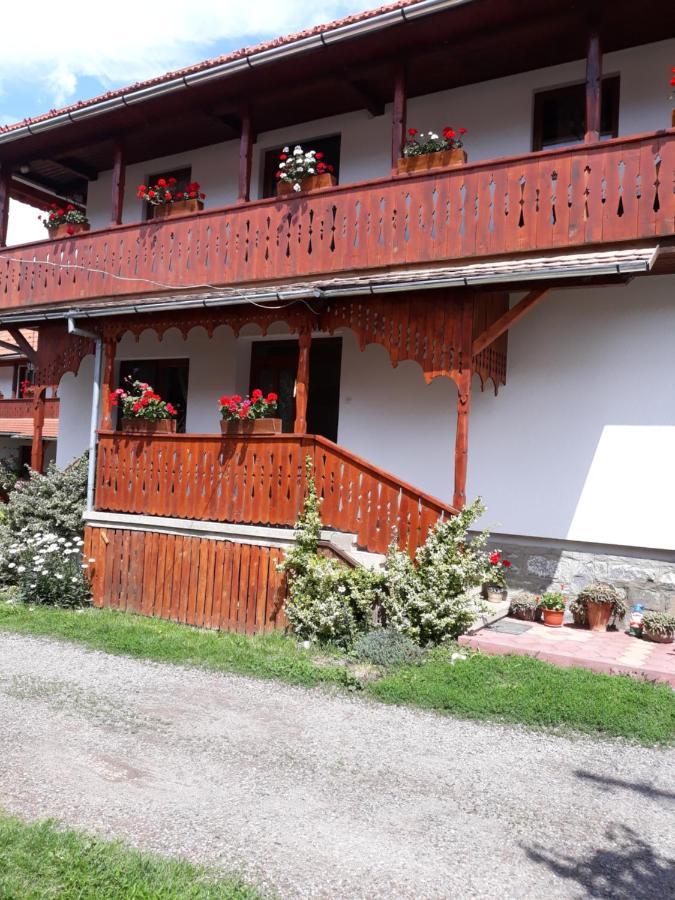 Molnár Vendeghaz Bed and Breakfast Praid Exterior foto
