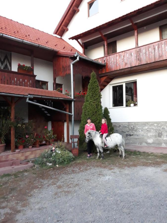 Molnár Vendeghaz Bed and Breakfast Praid Exterior foto